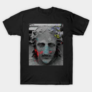 Painted statue T-Shirt